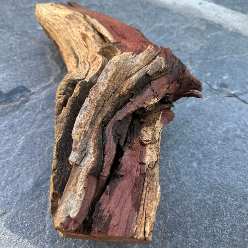 Sekelbos braaihout
