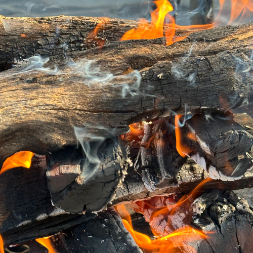 Sekelbos braaihout
